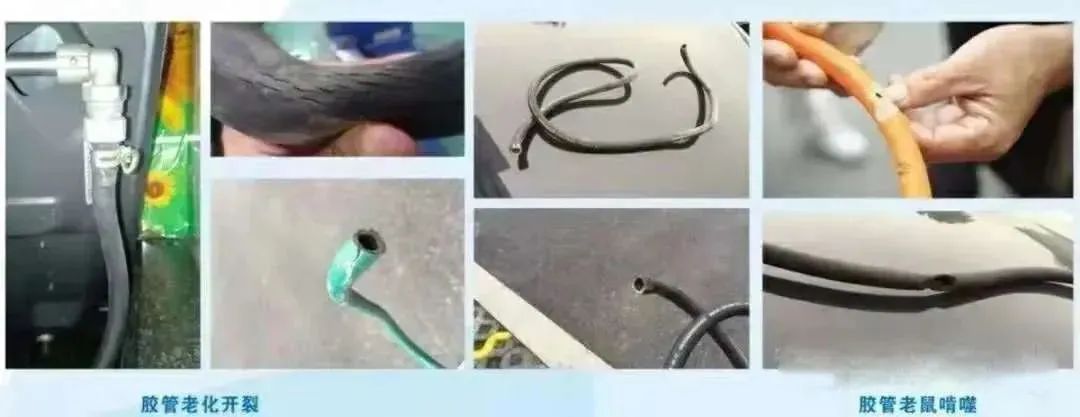 微信图片_20240313110939.jpg